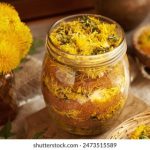 日本三级片在线观看 0h36p