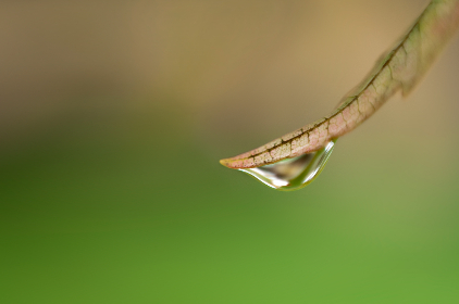 欧美日韩国产码在线
