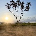 长腿丝袜高清美女图片 979wn