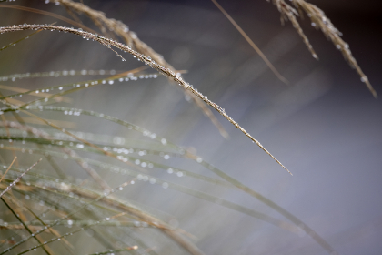 日本三级电影AV