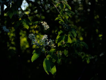 国产成人综合另类小说