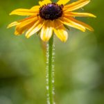 国产成人亚洲欧美二区综合 mjwd5y0hf