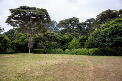 prontokredit bern：在伯尔尼获取快速贷款的最佳选择与指南