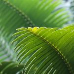 xxmh1018:探索未来科技的无限可能与应用前景 tcc1i4myk